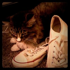 Chuck's (eddie not included)